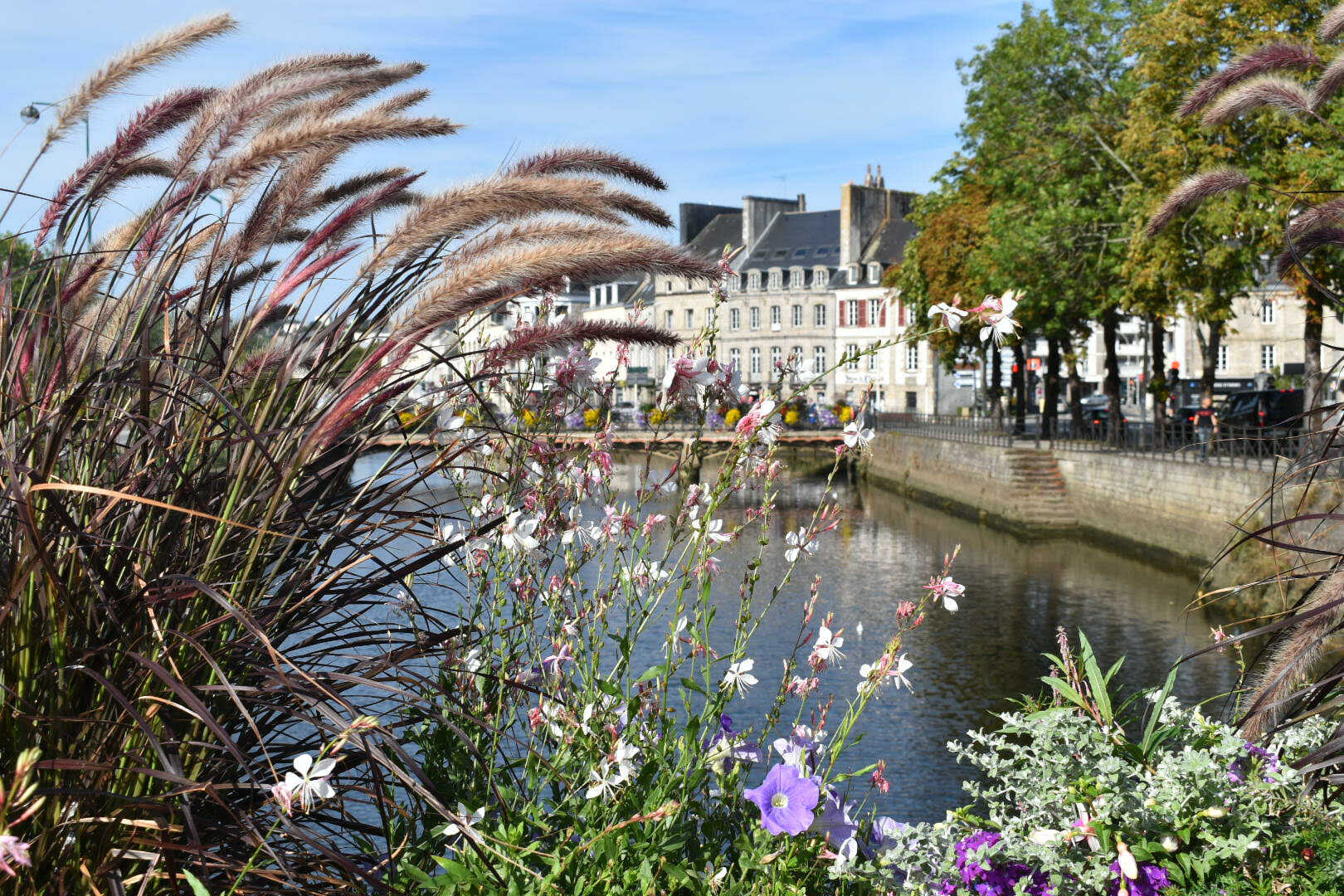 colocation quimper